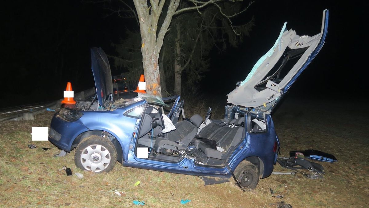 Šest zraněných, dva v bezvědomí. Řidič zdemoloval auto o strom na jihu Čech